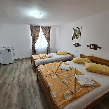 فندق مبيت وإفطار Sandor Panzio براد